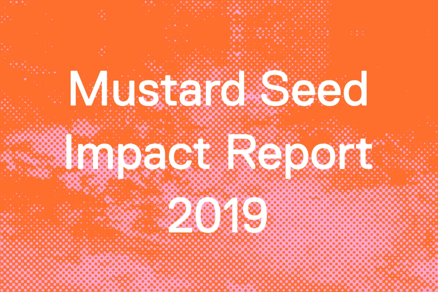 Mustard Seed Impact Report 2019